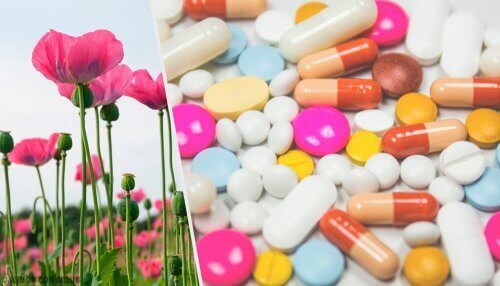 Opioider i pilleform ved siden af blomster