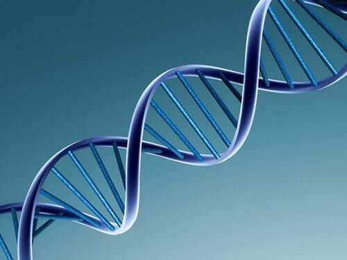 En illustration af et DNA