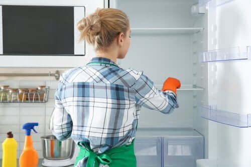 Miljøvenlige metoder til at desinficere køleskabet