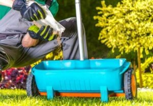 Naturlige ingredienser til gødning af planter