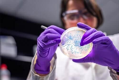 Kvinde studerer vira og bakterier 