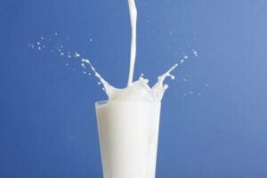 Sødmælk vs letmælk: Hvilken er bedst?