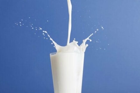 Store Antagelser, antagelser. Gætte Måske Sødmælk vs letmælk: Hvilken er bedst? - Bedre Livsstil