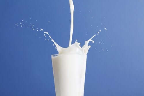 Sødmælk vs letmælk: Hvilken er bedst?