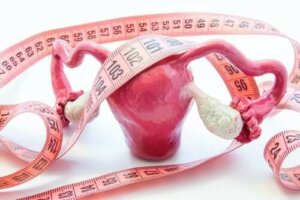 Adenomyose: Symptomer og behandling