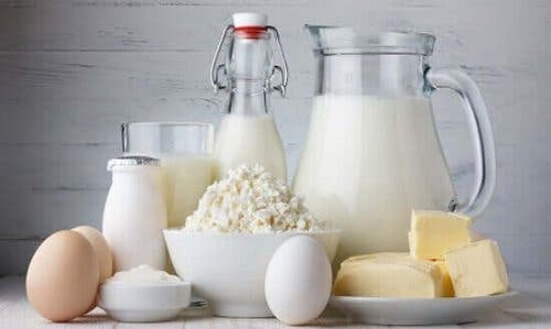Mejeriprodukter er rige på kalcium
