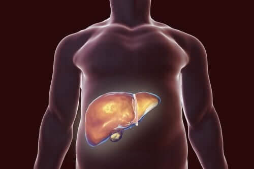 Sund galdeblære: Tips til den rette kost