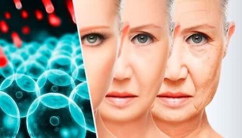 Kvinde viser, hvordan gener hænger sammen med, hvornår vi begynder at ældes