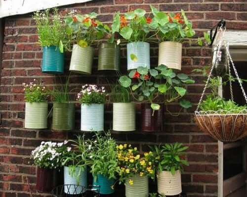 Du kan hænge planter lodret i gryder eller plantekummer for bedre at udnytte pladsen