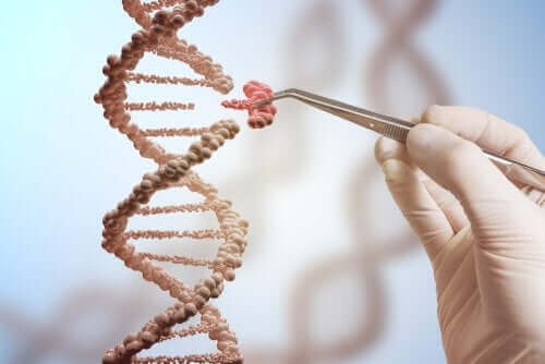 DNA og genmutationer
