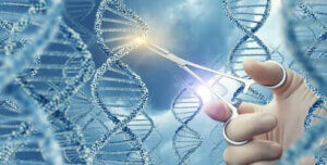 Hvad er genmutationer og hvad betyder de?