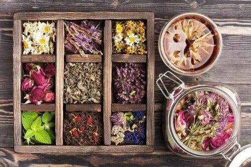 Forskellige blomster illustrerer naturmedicin