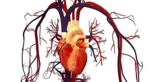 Målet med Atorvastatin er at forhindre hjertekarsygdom, hvilket illustreres af hjerte