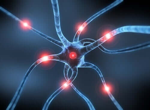 Illustration af neuroner