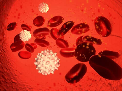 Vitamin A er involveret i immunsystemets funktioner, som det ses her i blodet, der bekæmper en infektion
