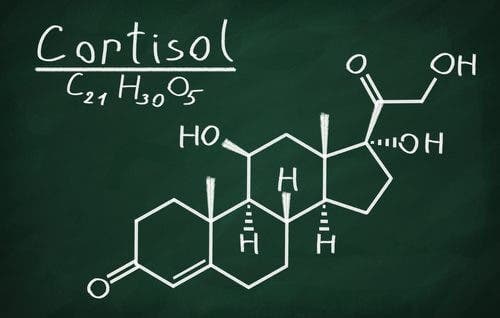 Den kemiske formet for kortisol