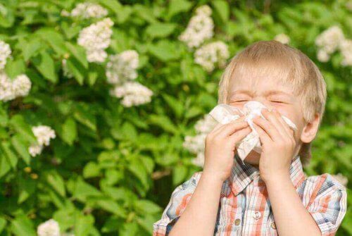 Dreng med pollenallergi pudser næse