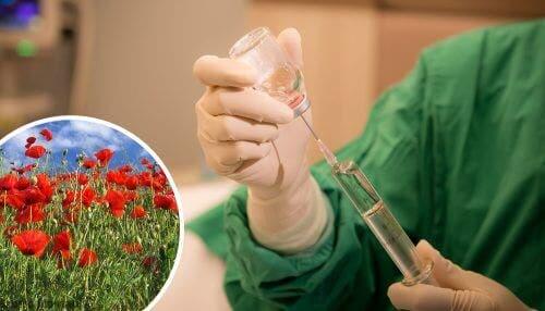 Sprøjte med opioider