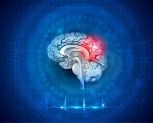 Neuroplasticitet illustreres af hjerne med rødt lys