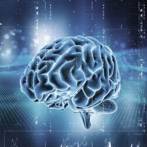 Illustration af menneskehjernen 