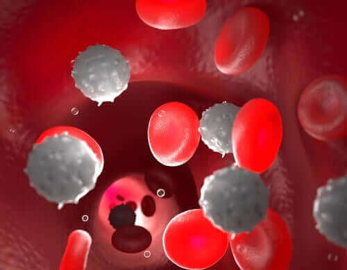 Blodprøver, der inkluderer et komplet blodantal, viser alle cellerne i blodet. Dette er en enkel og effektiv metode til at opdage høje niveauer af monocytter i blodet