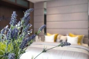 10 fantastiske råd til bedre søvn om natten