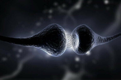 Synapsen er det område, hvor neuroner kommunikerer med hinanden