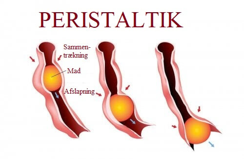 Peristaltik skyldes langsom transittid