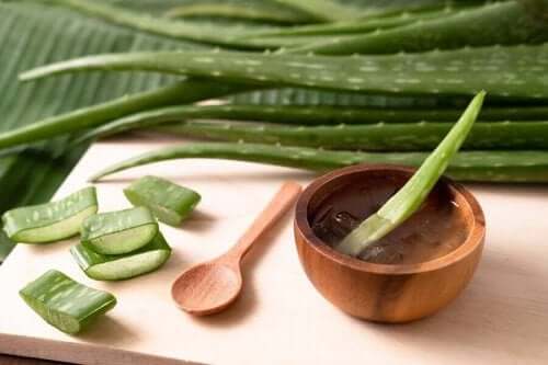 Aloe vera mod hvepsestik
