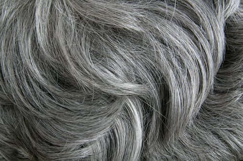 Stress forårsager grå hår, viser et studie