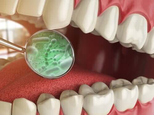 Hvad er de forskellige typer af bakterier i munden?