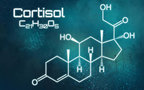 Alt, hvad du skal vide om for meget kortisol