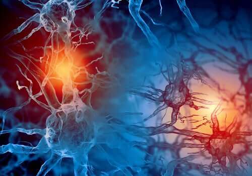 Neuroner i hjerne