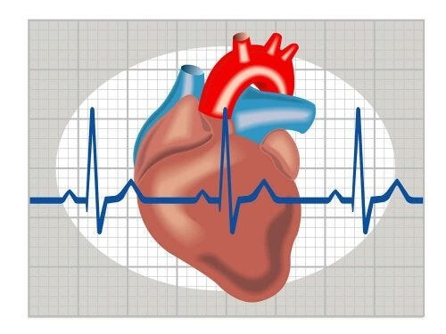 Kunstige hjerter kan hjælpe patienter uden donorer
