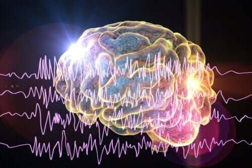 Illustration af nerver i hjernen viser de forskellige typer af epilepsi