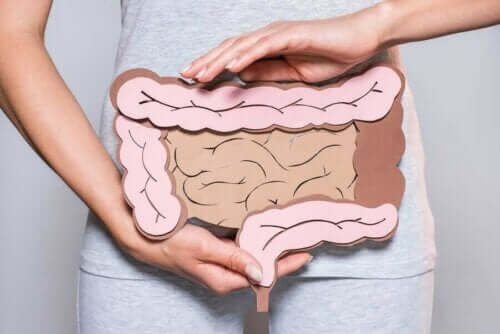 Illustration af en kvindes tarme, som er afhængige af fordøjelsesenzymer