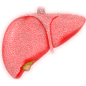 Verdens hepatitisdag: Sygdommen kan forebygges