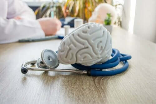 Model af hjerne på læges bord
