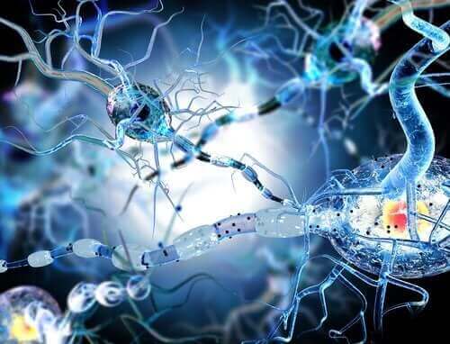 Neuroner i hjernen hos en person med epilepsi
