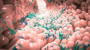 Hvad er normal mikrobiota?