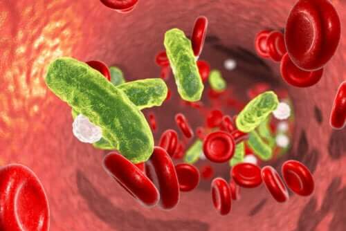 Illustration af bakterier i blod
