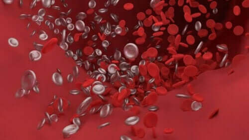 Illustration af blodplader