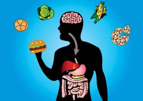 Person indtager fødevarer, som bliver påvirket af metabolisk fleksibilitet