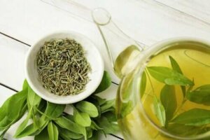 Vidste du, at grøn te forlænger levetiden?