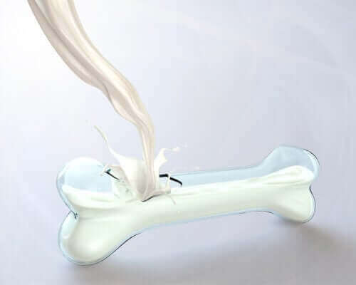 Mælk hældes i knogle af glas