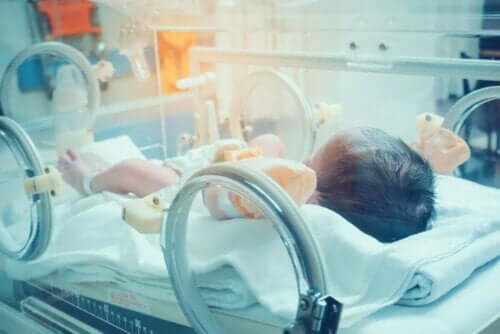 Baby i kuvøse grundet blodforgiftning hos babyer