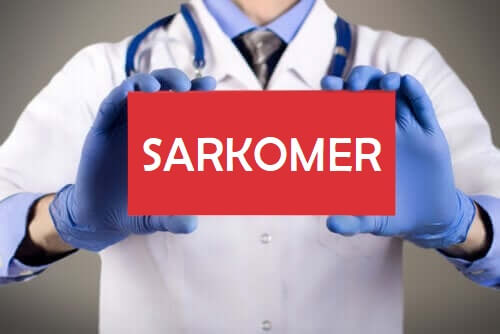 Typer af sarkomer og deres karaktertræk