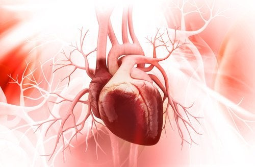 7 tips til et sundt hjerte