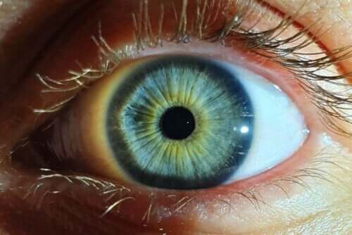 Lys får normalt pupillen til at trække sig sammen