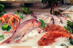 Alt om effekterne af kviksølv i fisk